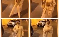 一品侠手机网猎艳